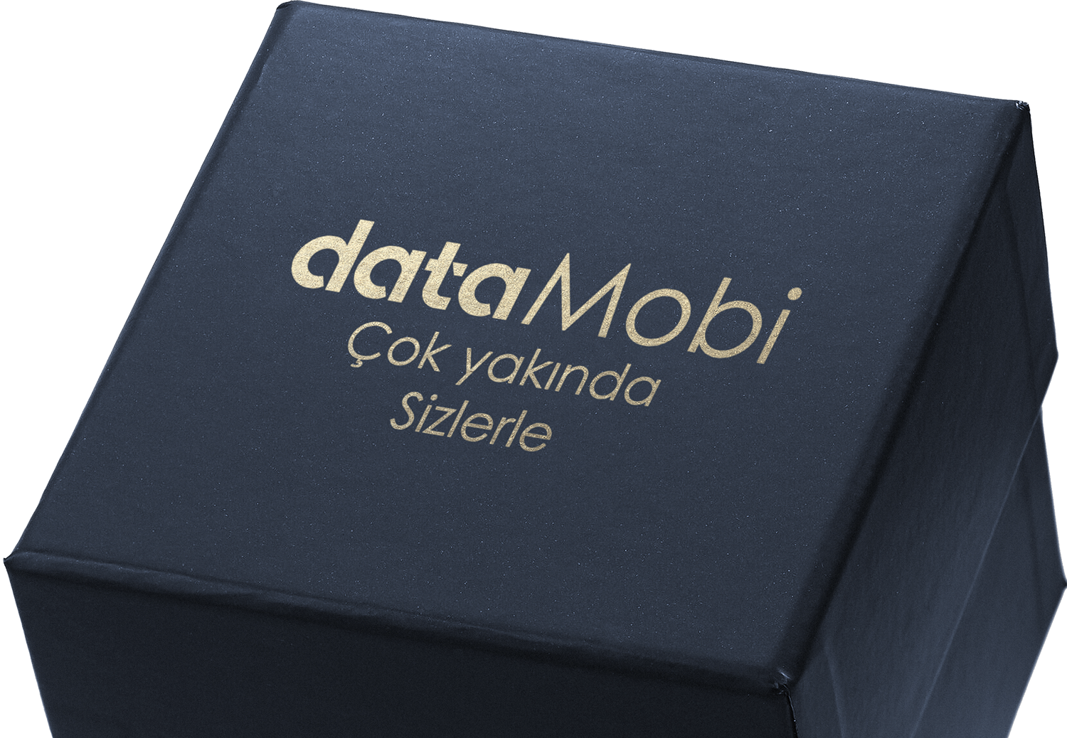 DataMobi